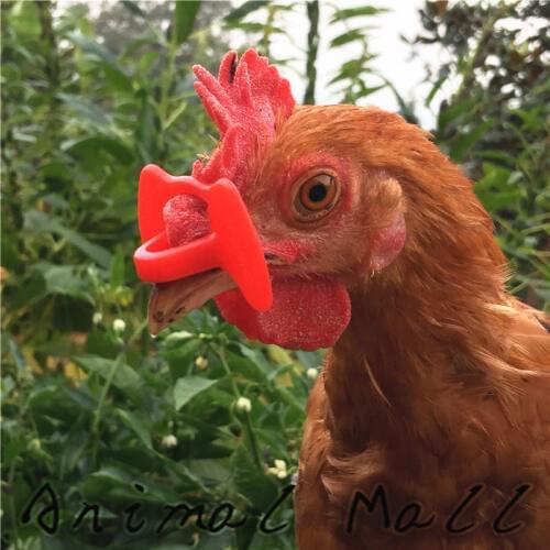 50 pcs sell like hot cakes Chicken Glasses Goggles Anti-pecking glasses Chicken necessary Retail and wholesale Weight 0.05g