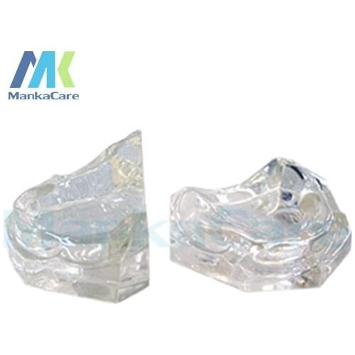 Manka Care - Made by imported resin. Used for modulus internship with anatomical shape groove ridge toothless jaw model