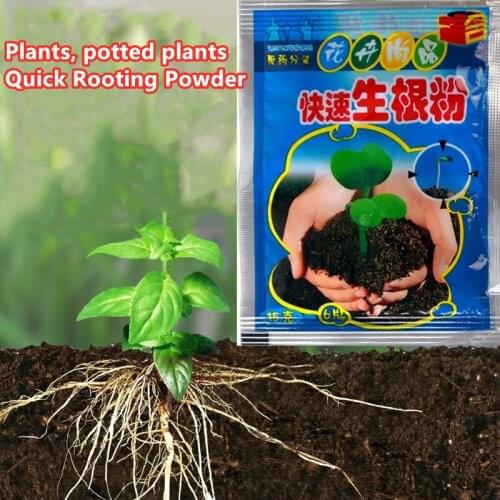 5PCS Fast Rooting Powder Rooting Hormone Powder Improve Flowering Cutting Survival Rate Plants Grow Cut Dip Powder Fertilizer