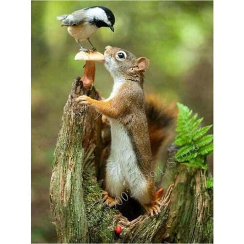 SquareRound Drill 5D DIY Diamond Painting Squirrel Bird Patterns Rhinestones Embroidery Cross Stitch 5D Home Decor Gift FF2124