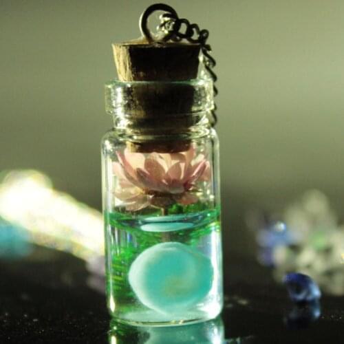 Magic Glow In The Dark Vintage Luminous Dried Flowers Pendant Necklace Fluorescent Light Wish Bottle Chain Necklace