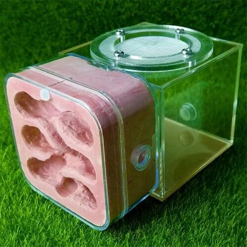 Mini Plaster Ant Nest Acrylic Ants Farm Kids Diy Educational Toys Pet Ants Insect Cages Children Birthday Gifts Anthill House