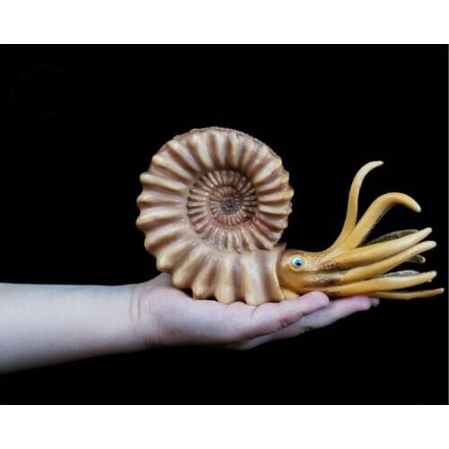 Nautilus Conch Simulation Aquarium Animal Model Toy Underwater World Plastic Solid Child Cognitive Gift 2021