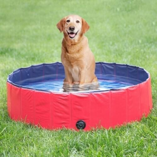 Foldable Dog Swimming Pool 160 Cm Swimming Pool For Dogs Big-Size Collapsible 4 Seasons Pet Playing Tub Bathtub Outdoor Indoor