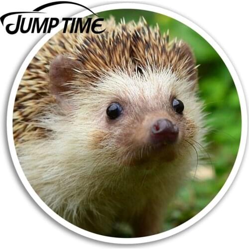 Jump Time Cute Hedgehog Vinyl Stickers Wildlife Sticker Luggage Laptop Car Assessoires Window Decals Car Wrap DIY