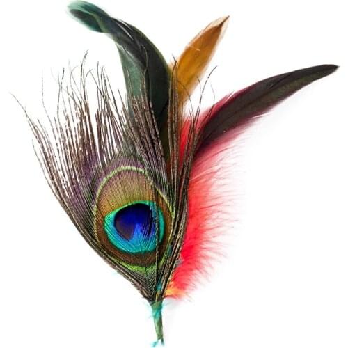 1PCS Natural Chicken/Pheasant/Ostrich Feather Headwear 17-30cm for Photography Wedding Performance Carnivals Costume Party Plume