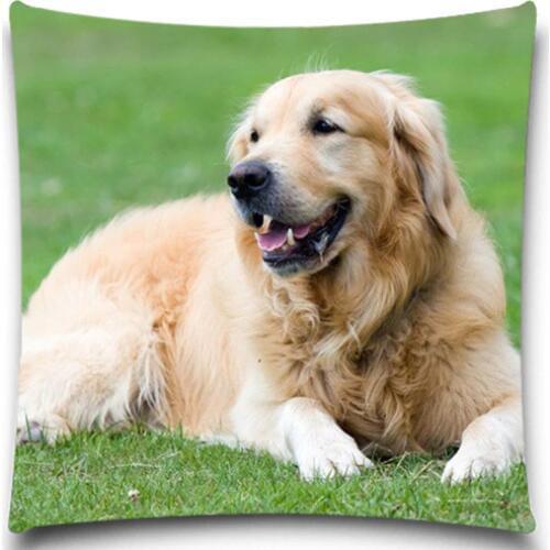 Cute Golden Retriever Excellent Quality Soft Cushion Covers Christmas Halloween Cotton Polyester Pillow Cases 5 size 9 style