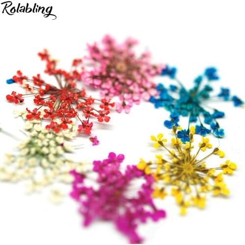 Rolabling Nail 3D Decoration DIY Mixed Dried Flower Leaf Nail Stickers for Manicure Nail Art Decals Jewelry UV Gel Polish deco