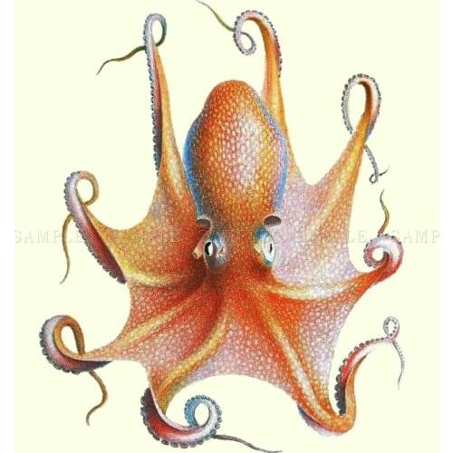 PAINTING ZOOLOGY OCTOPUS MARINE ANIMAL COOL TENTACLE Art print Silk poster Home Wall Decor