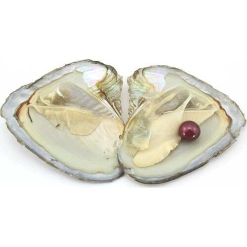 New Arrival 5Pcs Edison Pearls Natural Freshwater Pearls One Pearl Beads in One Oysters Birthday Jewelry Women Gifts EE2011