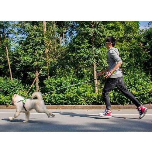 Pet Products For Large Dog Handsfree Leash Leads Dog-Collars Adjustable Dog Harness Leash Running Jogging For Dogs Supplies