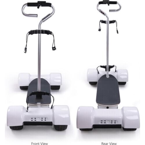 Ecorider cheap 60V 18.2Ah 1000W Golf Board 4-Wheel Electric Golf Trolley Scooter