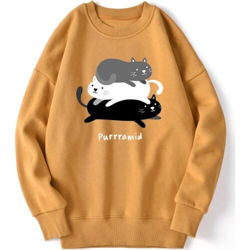Purrramid Cat Sweatshirt Mens Fashion Streetwear Hoodie Vintage Tops Hipster Long Sleeve Pullovers Casual Hip Hop Clothing 2020