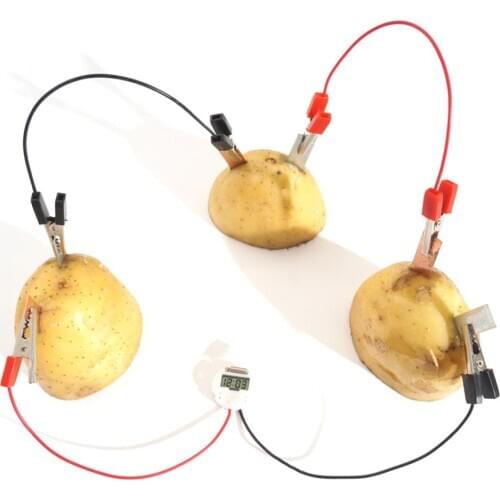 DIY Potato Fruit Power Battery Bio Energy Light Diode Clock Kit Experiment Toy
