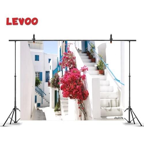 LEVOO Photo Background Greece Style White House Stairs Flowers Sunshine Photographic Props Photography Backdrop Photophone Vinyl