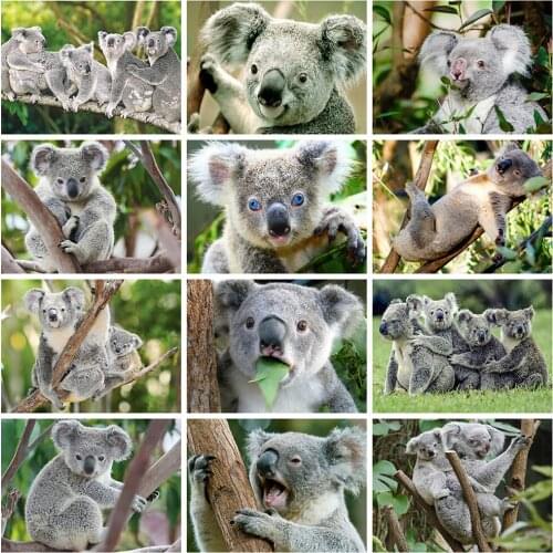 5D Diy Full Square Round Diamond Painting Kit Cute Animals Koala Cross Stitch Rhinestone Diamond Embroidery Mosaic Home Decor