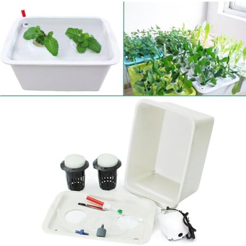 220V Plant Site Hydroponic System 2 Holes Indoor Garden Cabinet Box Grow Kit Bubble Garden Pots Planters Nursery Pots US Plug