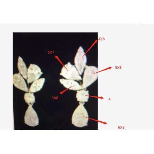 Moissanite Earring DF color Pear Moissanite Make it in 9K Yellow Gold