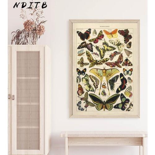 Butterfly Insect Vintage Poster Papillons Print Canvas Painting Biology Education Wall Art Picture Modern Study Room Decoration