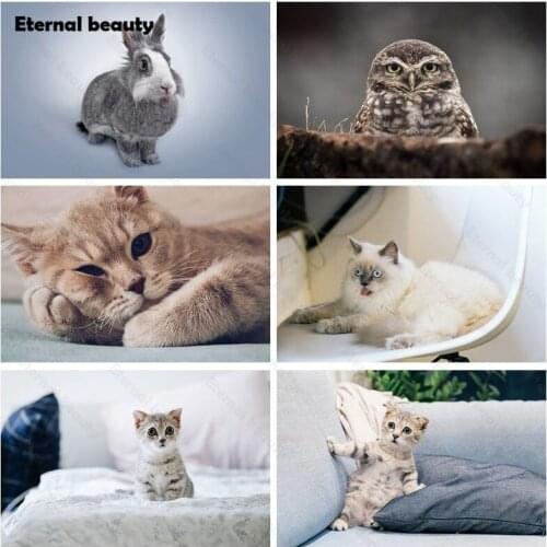 Diamond Painting Lazy Cats Diy 5D Lovely Animals Full Round Square Drill Diamond Embroidery Pictures of Rhinestone Home Decor