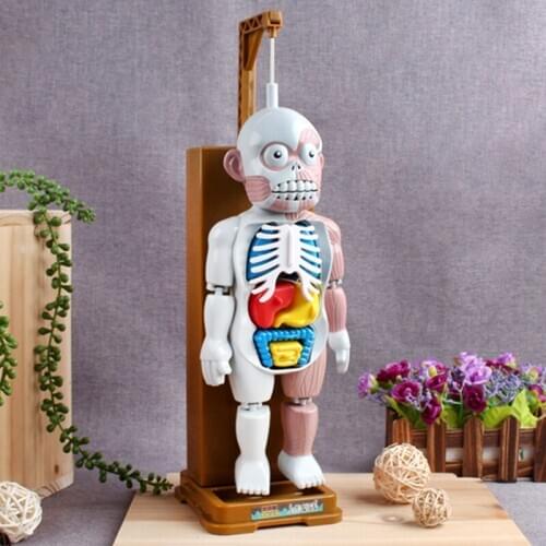 1 Pcs Fun Human Model Home Decoration Skeleton model Assembly Skull Desktop Office Parent-child Spoof Tricky Party Games