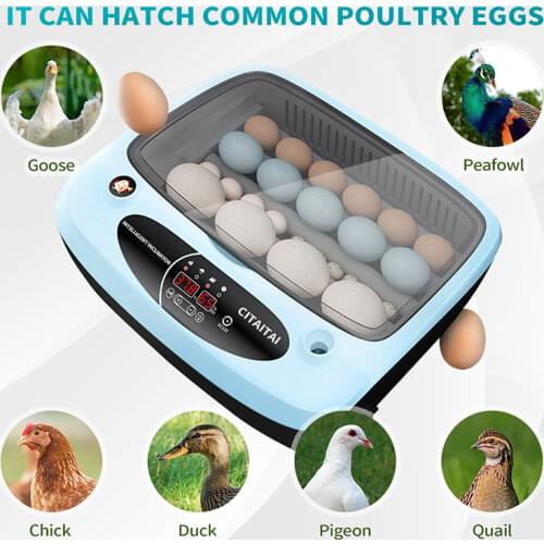 OIMG Products For Farm Animals