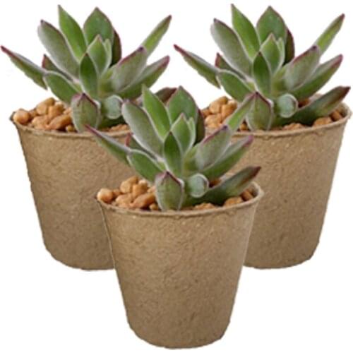 100PC 2.4" Paper Plant Pot Flowers Grow Pots Seed Nursery Cup Kit Organic Biodegradable Eco-Friendly Garden Cultivation Tool