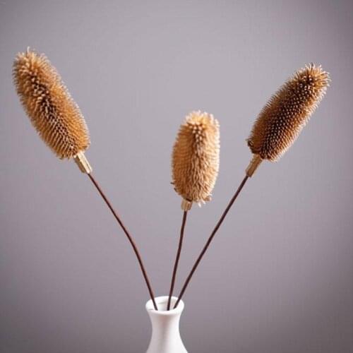 Natural Dried Flowers Dried Eucalyptus Leaf Real Branch Nordic Acorn Wedding Party Cotton Pine Home Decoration Wheat F4O4