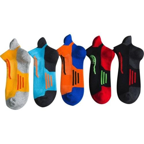 ZYCSNH Skateboards And Scooters