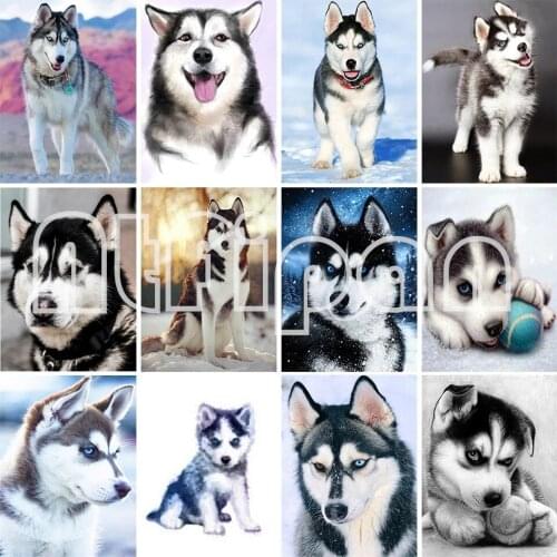 5D DIY Full Square Diamond Painting Animal Dog Diamond Embroidery Cross Stitch Kit Decoration Rhinestone Gift Mosaic Picture