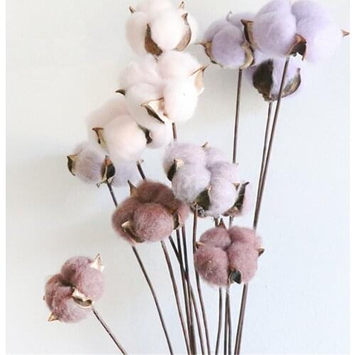 6 pcs Dried cotton stems mixed color cotton branch Home wedding party decor macarone cotton ball stems