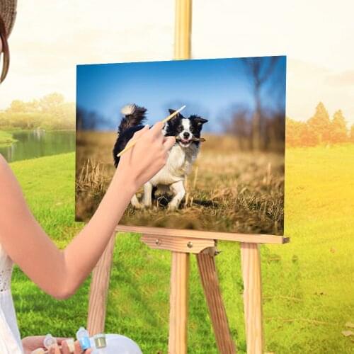 Animal Border Collie Painting By Numbers Package Acrylic Paints 50*70 Canvas Pictures Home Decoration For Adults Handicraft