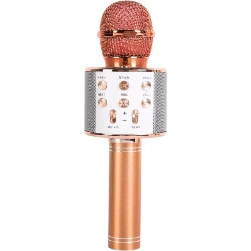 WS-858 Bluetooth Wireless Microphone Home Karaoke Microphones Speaker Handheld Music Player Singing Recorder KTV