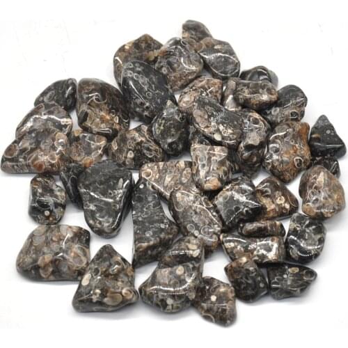 100g Natural Turitella Agate Tumbled Stones Bulk Healing Crystals Reiki Polished Gemstones Gem Raw Aquarium Decoration Minerals