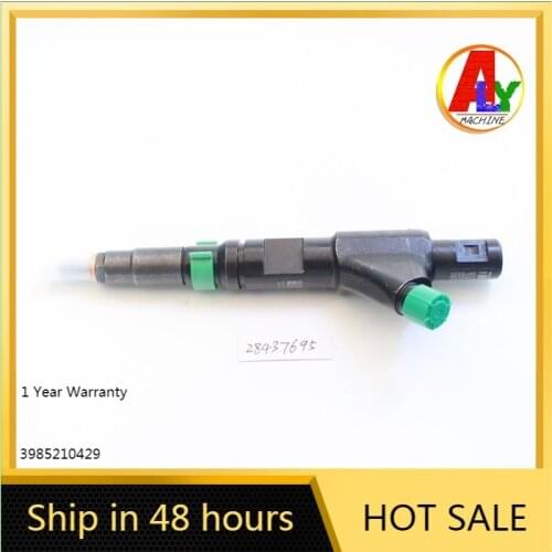 Diesel System 28437695 Y1120SD119 Common Rail Injector for Delphi System