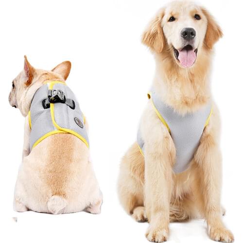 HiMISS Harnesses