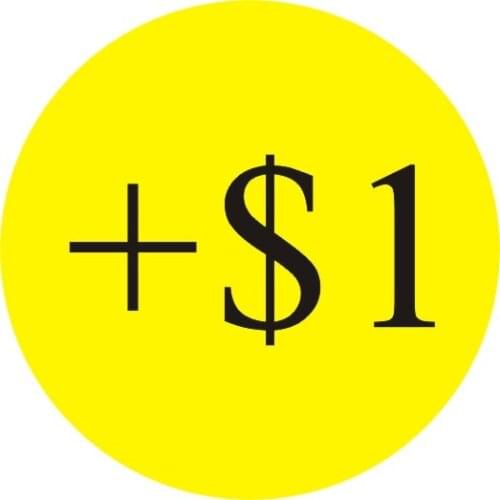 Extra Fee/the balance for your payment