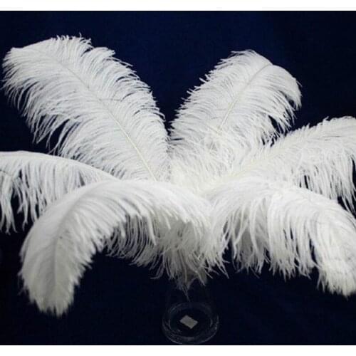 Wholasale 100pcs/lot Elegant White ostrich feathers 15-75cm for craft wedding party supplies Carnival dancer decoration plumages