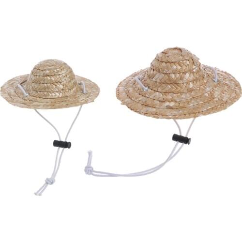 Hawaiian Style Pet Sombrero Hat Dog Cat Hat Small/Large Diameter 14cm 16cm