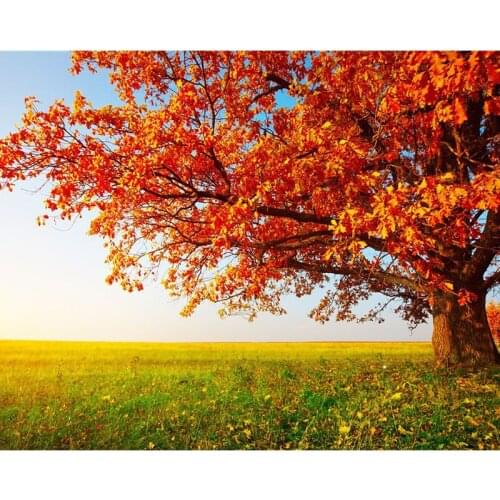 5D DIY Diamond Painting Cross Stitch Red maple leave landscape Full Square/Round diamond embroidery Rhinestone Home Decor BY441