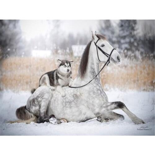 Animal Dog Husky DIY Cross Stitch 11CT Embroidery Kits Craft Needlework Set Printed Canvas Cotton Thread Home Wholesale