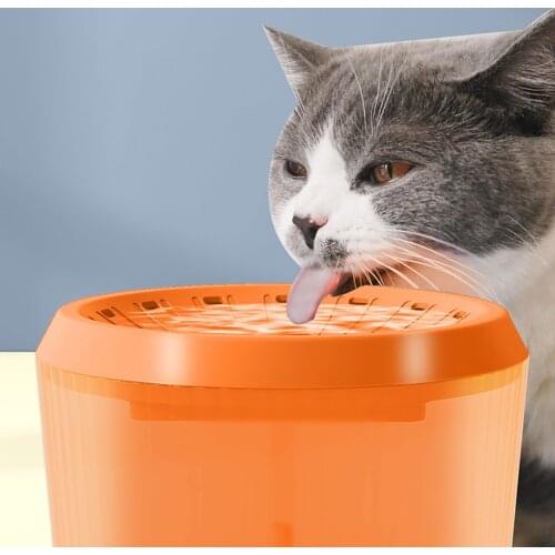 Winnereco Bowls For Cats