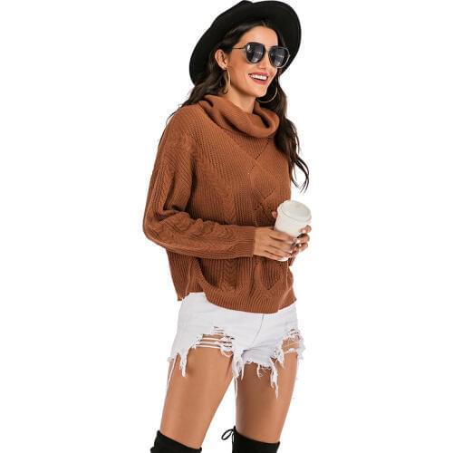 Neatie kiddie Autumn winter women Brown Turtleneck Casual Sweater Clothes Long Sleeve Knitting Pullovers Jumper Femme