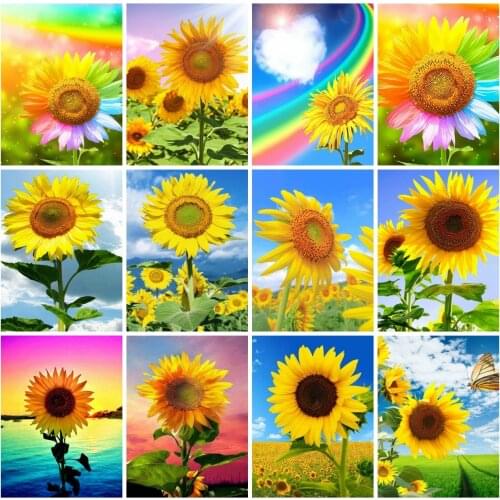 AZQSD Painting By Numbers Sunflower Diy Framed 60x75cm Drawing By Numbers Flower Sunset Home Decor Hand Paint Kit Canvas