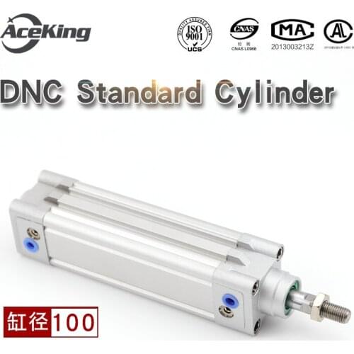 Standard cylinder DNC100-50-100-150-200-00-250-300-5008 PPV - ASE DNC100-100-PPV-A DNC100-150-PPV-A DNC100-200-PPV-A