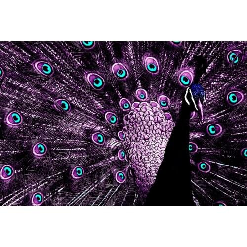 Amazing peacock Art Film Print Silk Poster Home Wall Decor 24x36inch
