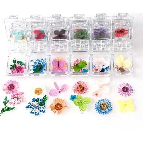 Japanese Dried Flowers 12 Petals Real Flower Eternal Flower Photo Therapy Crystal Box For UV Resin Epoxy Mold Decoration