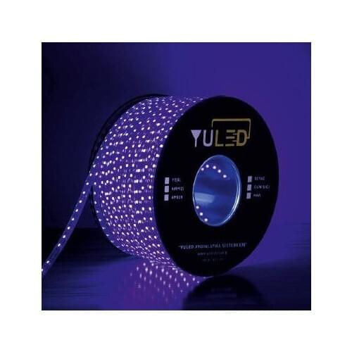 3 Chip Outdoor Silicone Led Strip 220V Volt 10 Meters 1 Power Plug Double Pcb Blue Heat Cold resistant led High UV resistance