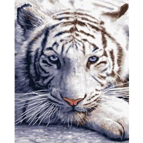 DIY Paints By Numbers Tiger Animals 50x40cm Art Pictures Set Coloring Decorative Canvas Wall Artcraft Oil Painting By Numbers