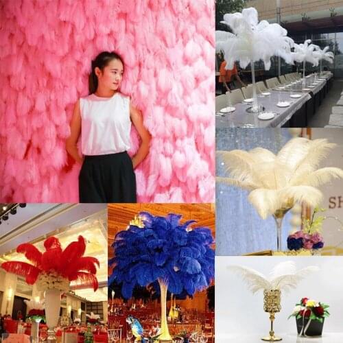 10 Pcs/Lot Natural Colorful Ostrich Feathers For Crafts 25-30cm Carnival Costumes Party Home Wedding Decorations Plumes 6 color